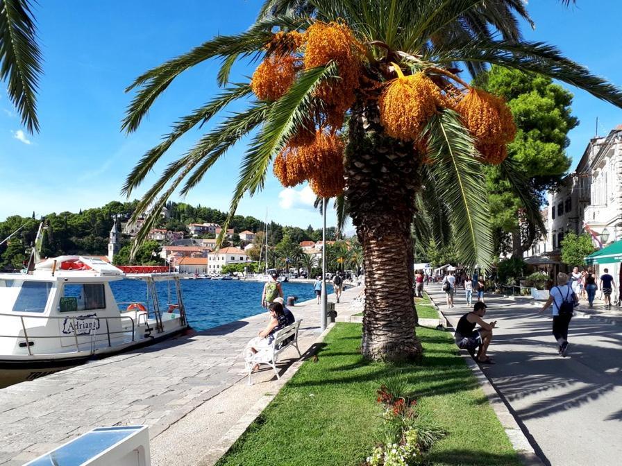 Apartments Rilovic, City And Sea View Apartments Cavtat Extérieur photo