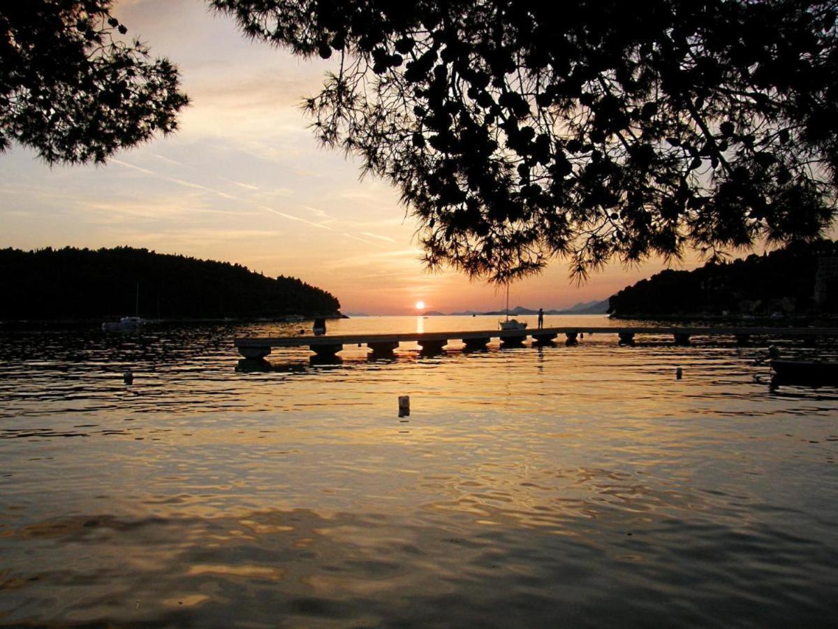 Apartments Rilovic, City And Sea View Apartments Cavtat Extérieur photo